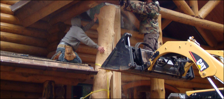 Log Home Log Replacement  Kingsville, Ohio